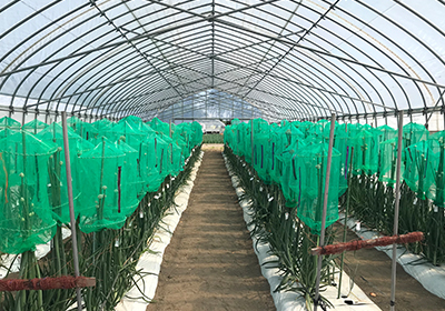 Sapporo Experimental Farm