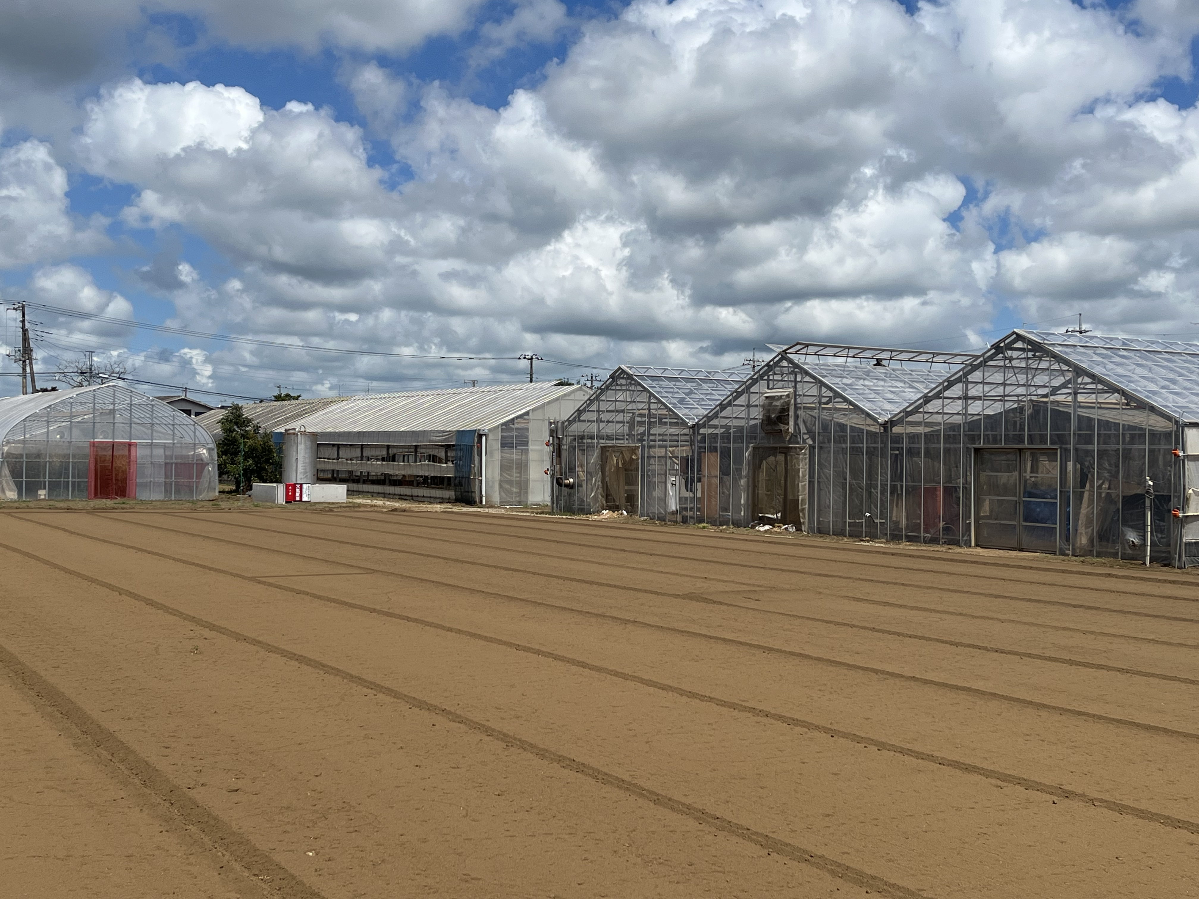 Chiba Experimental Farm