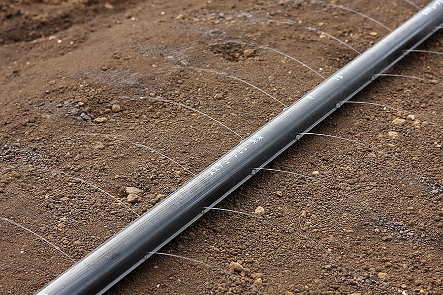 Sumitube Strawberry (WB1031), Tomato (WB1030), Melon (WB1032)