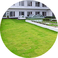 芝生（ゴルフ場・グラウンドなど）