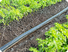 潅水資材 製品情報サイト