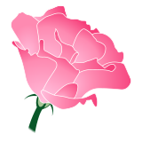 トルコギキョウ