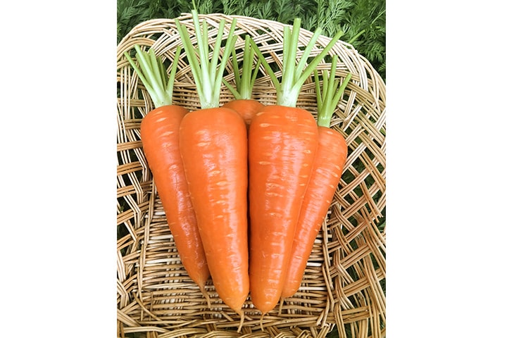 紅さやか（YCC125）のイメージ画像