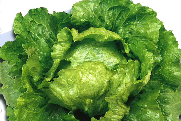 シルルのイメージ画像