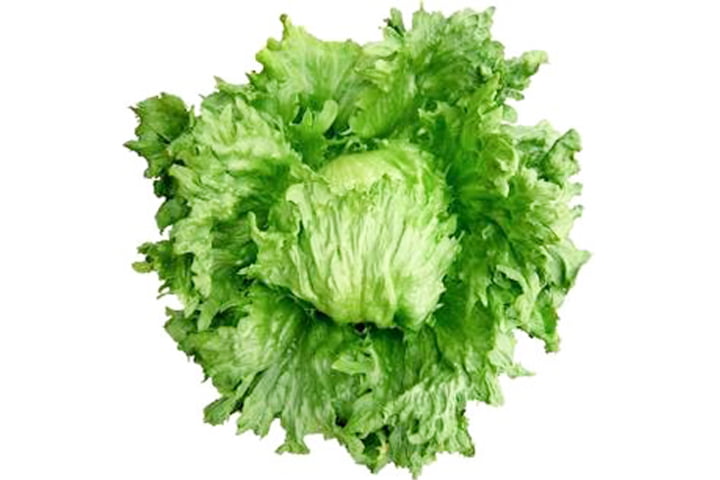 プラノ（YL333）のイメージ画像