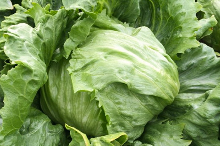 アンドレ（M512）のイメージ画像