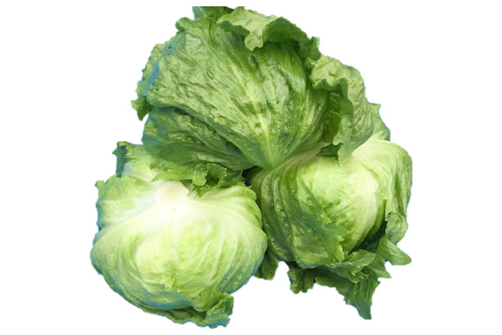 フレディ（YLL242）のイメージ画像