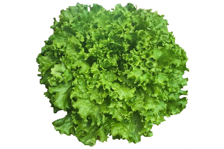 晩抽グリーンステージ（YLG241）のイメージ画像