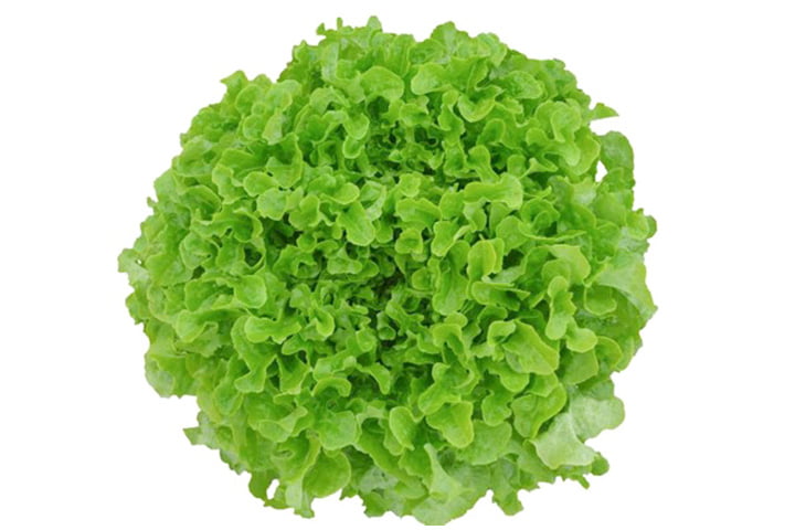 オークキング（YLOG784）のイメージ画像