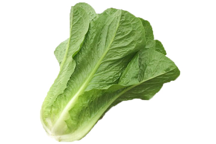 ミスターシーザー2号（YLC012）のイメージ画像