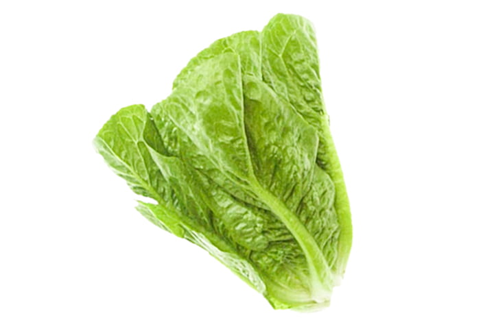 シーザーボーイ（YLCG892）のイメージ画像