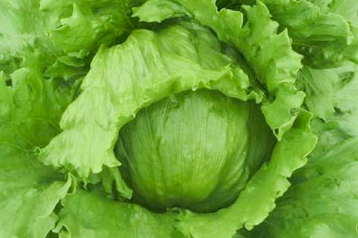 ビルボード（YLL901）のイメージ画像