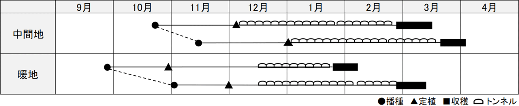 作型表