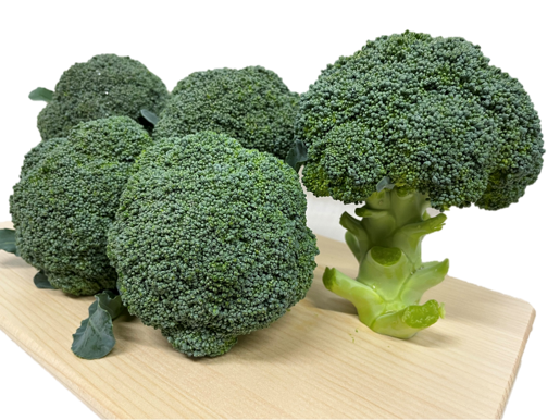 ブロッコリー　野菜 YQQ648(ガルベス※商標登録中) | ブロッコリー | 野菜 | 製品情報 | 住